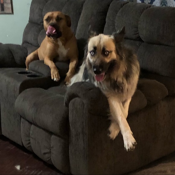 Meet your Posher, Cindy - Picture 3 of 7